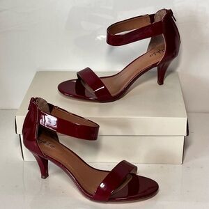 Style‎ & Co. Paycee